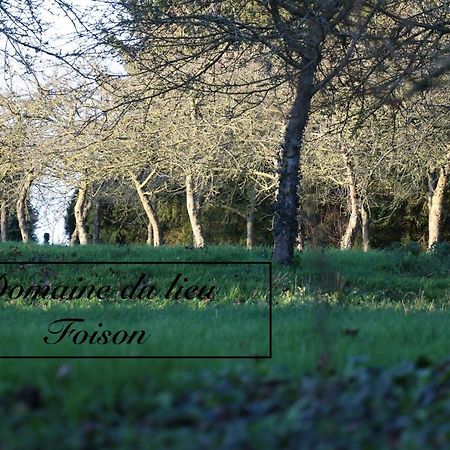 Villa Normandia Du Lieu Foison Nonant Esterno foto